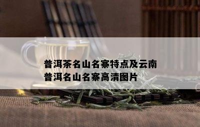 普洱茶名山名寨特点及云南普洱名山名寨高清图片