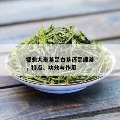 福鼎大毫茶是白茶还是绿茶，特点、功效与作用