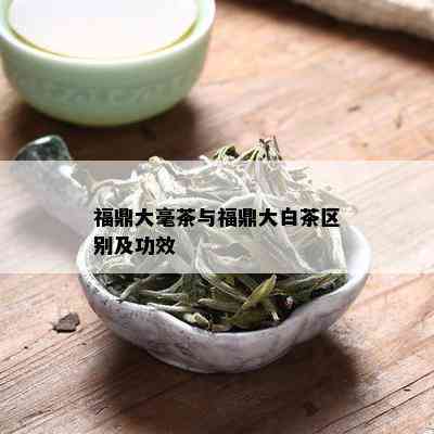 福鼎大毫茶与福鼎大白茶区别及功效