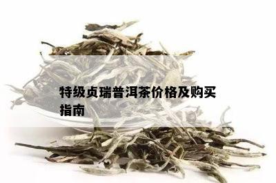 特级贞瑞普洱茶价格及购买指南