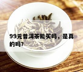 99元普洱茶能买吗，是真的吗？