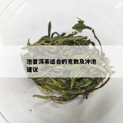 泡普洱茶适合的克数及冲泡建议