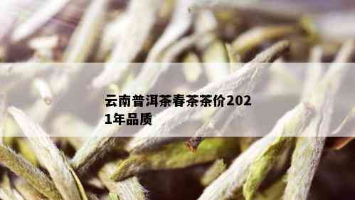 云南普洱茶春茶茶价2021年品质