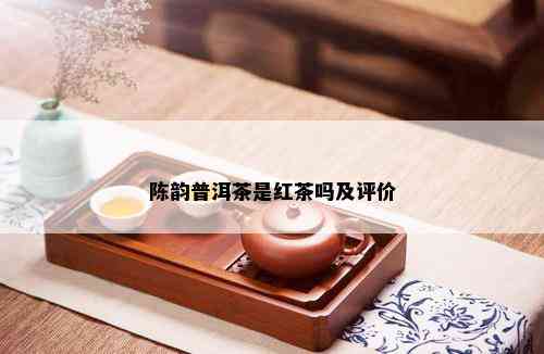 陈韵普洱茶是红茶吗及评价