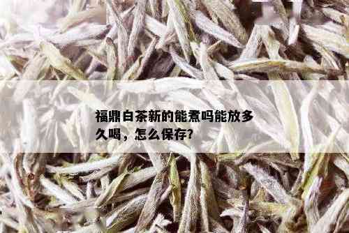 福鼎白茶新的能煮吗能放多久喝，怎么保存？