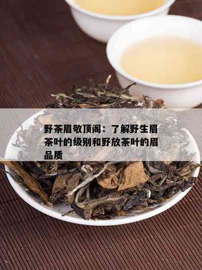 野茶眉敬顶阁：了解野生眉茶叶的级别和野放茶叶的眉品质