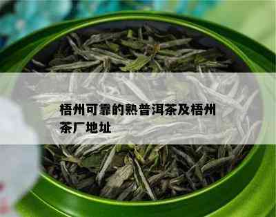 梧州可靠的熟普洱茶及梧州茶厂地址