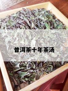 普洱茶十年茶汤