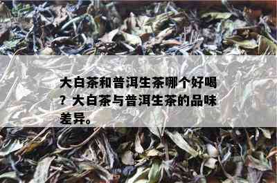 大白茶和普洱生茶哪个好喝？大白茶与普洱生茶的品味差异。