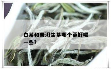 白茶和普洱生茶哪个更好喝一些？