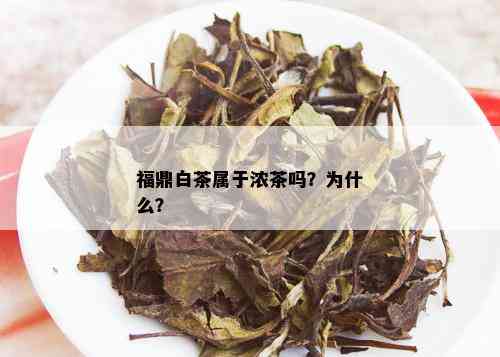 福鼎白茶属于浓茶吗？为什么？