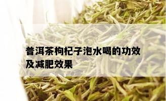 普洱茶枸杞子泡水喝的功效及减肥效果