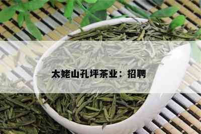 太姥山孔坪茶业：招聘 