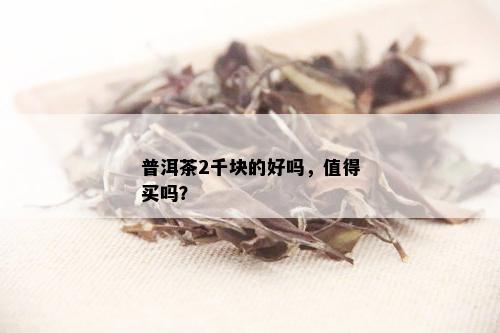 普洱茶2千块的好吗，值得买吗？