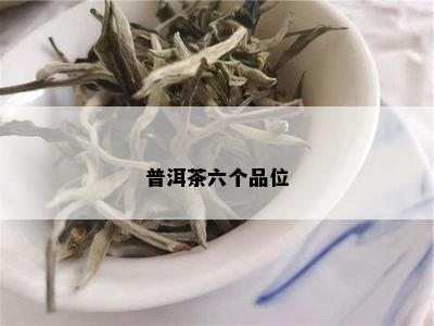 普洱茶六个品位