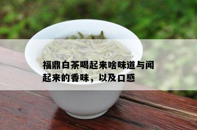 福鼎白茶喝起来啥味道与闻起来的香味，以及口感