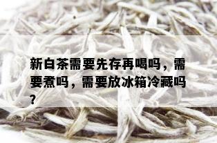 新白茶需要先存再喝吗，需要煮吗，需要放冰箱冷藏吗？