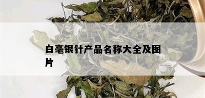 白毫银针产品名称大全及图片