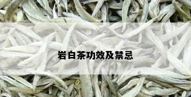 岩白茶功效及禁忌