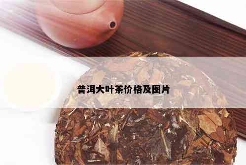 普洱大叶茶价格及图片