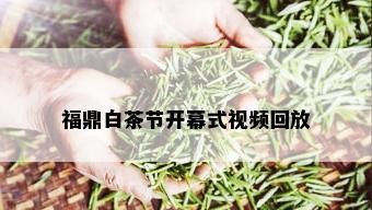 福鼎白茶节开幕式视频回放