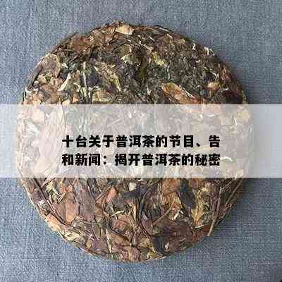 十台关于普洱茶的节目、告和新闻：揭开普洱茶的秘密