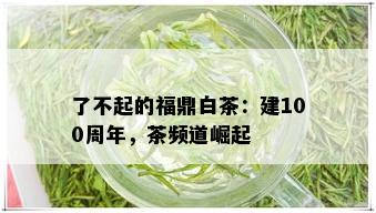 了不起的福鼎白茶：建100周年，茶频道崛起