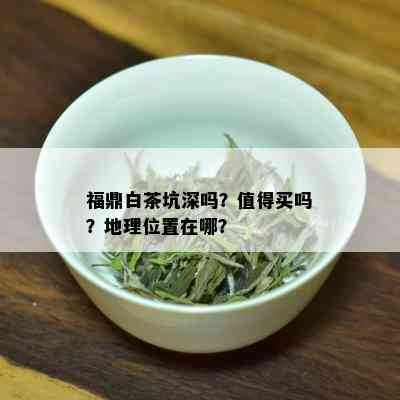 福鼎白茶坑深吗？值得买吗？地理位置在哪？