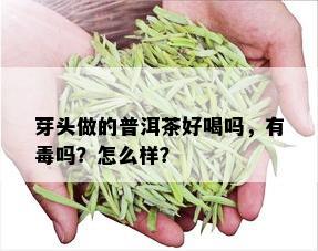 芽头做的普洱茶好喝吗，有吗？怎么样？