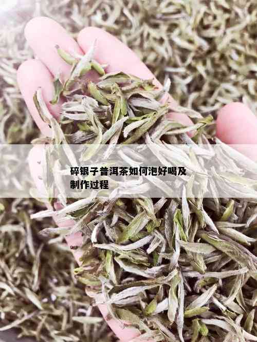 碎银子普洱茶如何泡好喝及制作过程