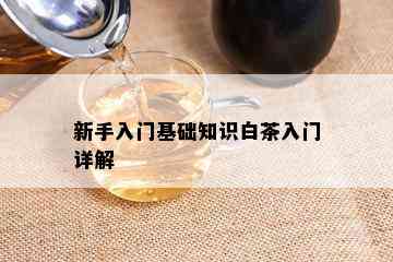 新手入门基础知识白茶入门详解