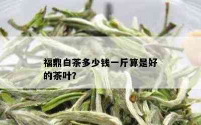 福鼎白茶多少钱一斤算是好的茶叶？