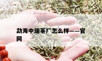 勐海中瑞茶厂怎么样——官网