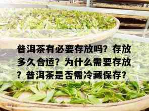 普洱茶有必要存放吗？存放多久合适？为什么需要存放？普洱茶是否需冷藏保存？