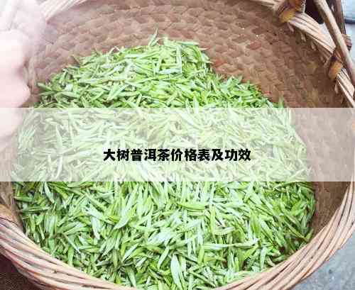 大树普洱茶价格表及功效