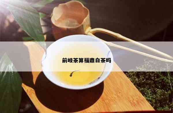 前岐茶算福鼎白茶吗