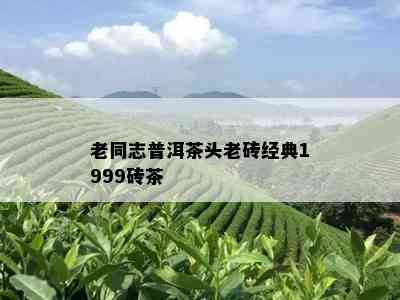 老同志普洱茶头老砖经典1999砖茶