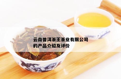 云南普洱茶王茶业有限公司的产品介绍及评价