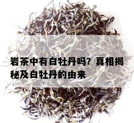 岩茶中有白牡丹吗？真相揭秘及白牡丹的由来