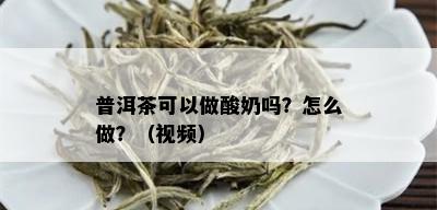 普洱茶可以做酸奶吗？怎么做？（视频）