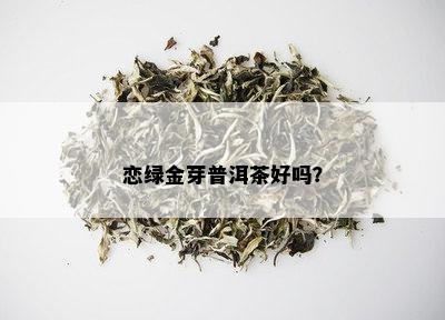 恋绿金芽普洱茶好吗？