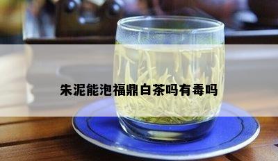 朱泥能泡福鼎白茶吗有吗