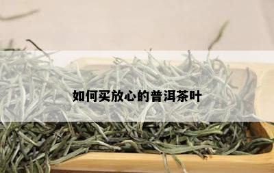 如何买放心的普洱茶叶