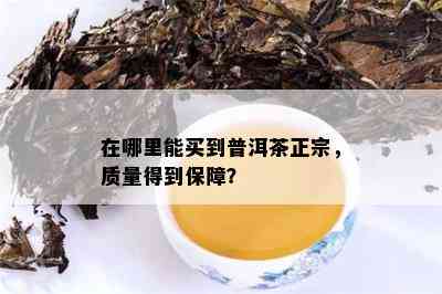 在哪里能买到普洱茶正宗，质量得到保障？