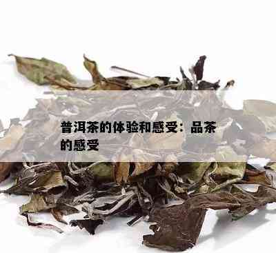 普洱茶的体验和感受：品茶的感受