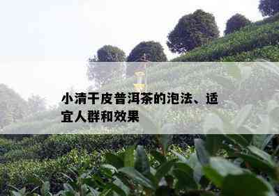 小清干皮普洱茶的泡法、适宜人群和效果