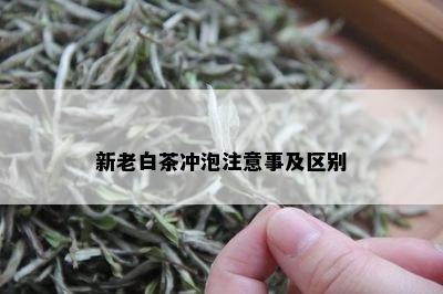 新老白茶冲泡注意事及区别