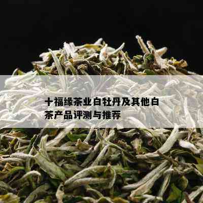 十福缘茶业白牡丹及其他白茶产品评测与推荐