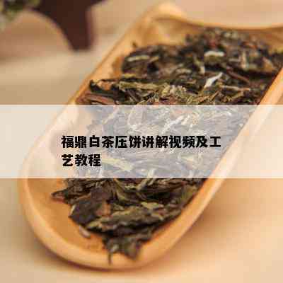 福鼎白茶压饼讲解视频及工艺教程