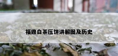 福鼎白茶压饼讲解图及历史